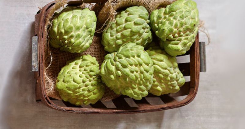 Na giàu chất xơ rất tốt cho hệ tiêu hóa của bà đẻ (Ảnh: Sưu tầm Internet)