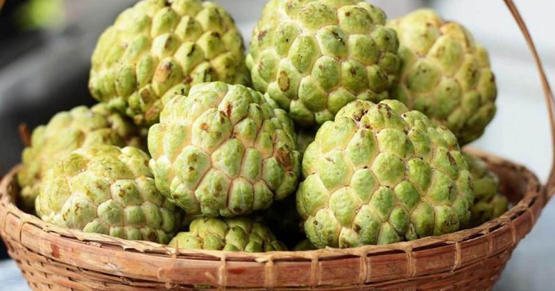 Bà đẻ ăn na rất tốt cho trẻ sơ sinh (Ảnh: Sưu tầm Internet)