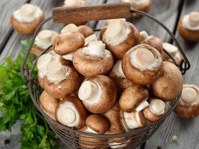 Nấm là một trong những thực phẩm bổ dưỡng, tốt cho sức khỏe. (Ảnh: Nguồn Internet)