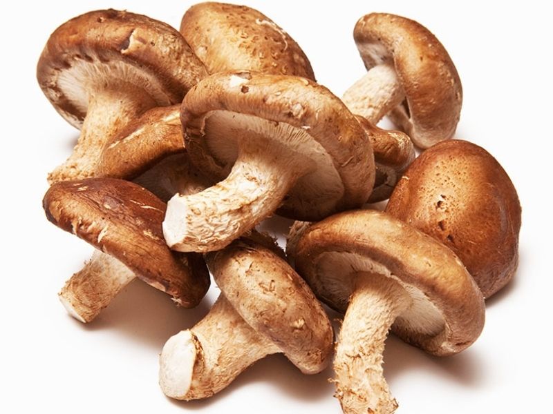 Nấm hương vô cùng phổ biến trên thế giới, không chỉ ở Việt Nam. (Ảnh: Nguồn Internet)