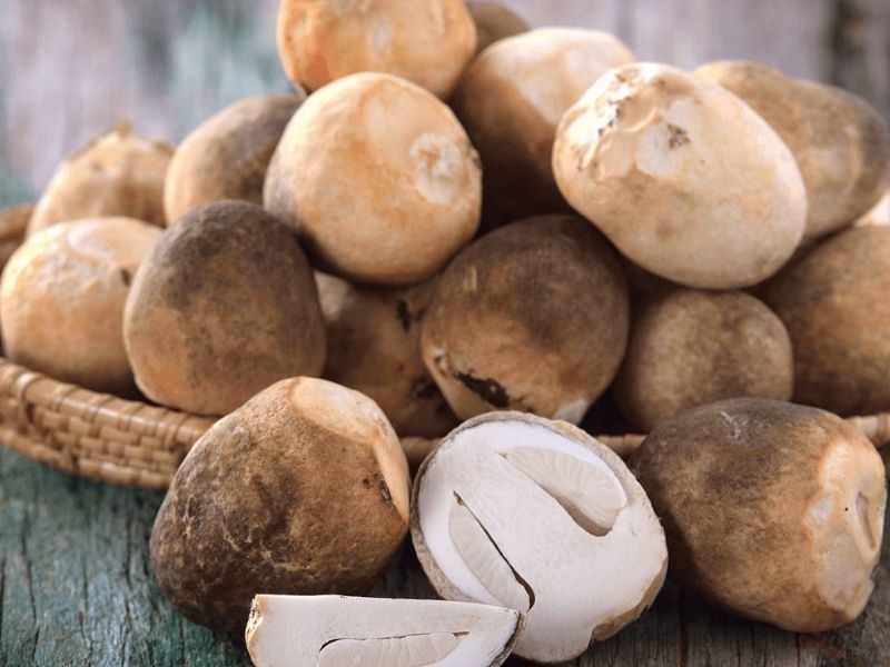 Nấm rơm giúp nâng cao sức khỏe, phòng ngừa nhiều bệnh lý nguy hiểm. (Ảnh: Nguồn Internet)