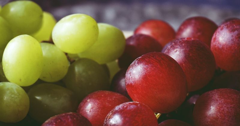 Nho chứa hàm lượng dinh dưỡng rất cao (Ảnh: Sưu tầm Internet)