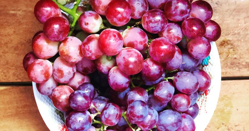 Cách chọn nho tươi ngon, đảm bảo an toàn (Ảnh: Sưu tầm Internet)