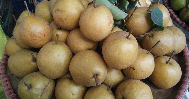 Ăn quả mắc cọp cung cấp rất nhiều năng lượng cho cơ thể (Ảnh: Sưu tầm Internet)