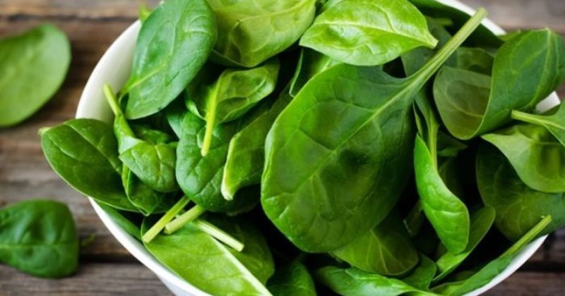 Sau sinh ăn rau cải không gây mất sữa (Ảnh: Sưu tầm Internet)