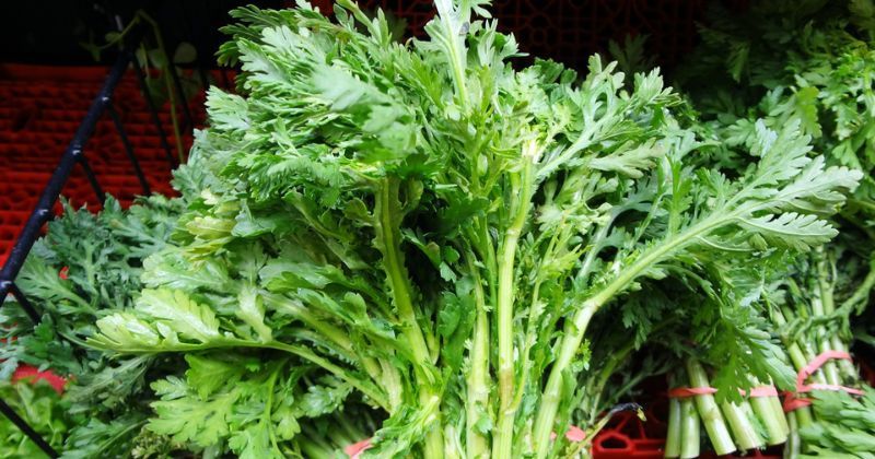 Ăn rau cải cúc sau sinh có tác dụng điều hòa huyết áp (Ảnh: Sưu tầm Internet)