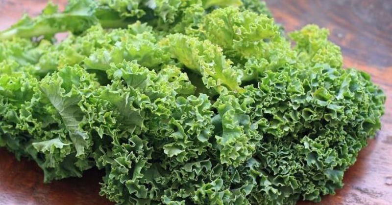 Sau sinh ăn rau cải xoăn rất an toàn cho bà đẻ (Ảnh: Sưu tầm Internet)