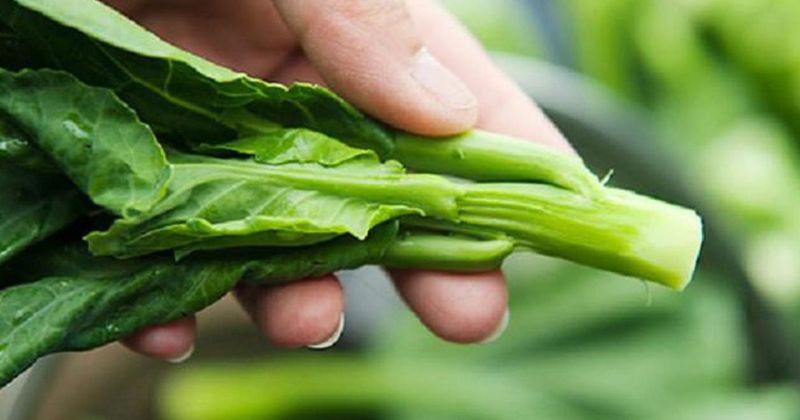 Ăn rau cải ngồng rất an toàn cho mẹ sau sinh (Ảnh: Sưu tầm Internet)