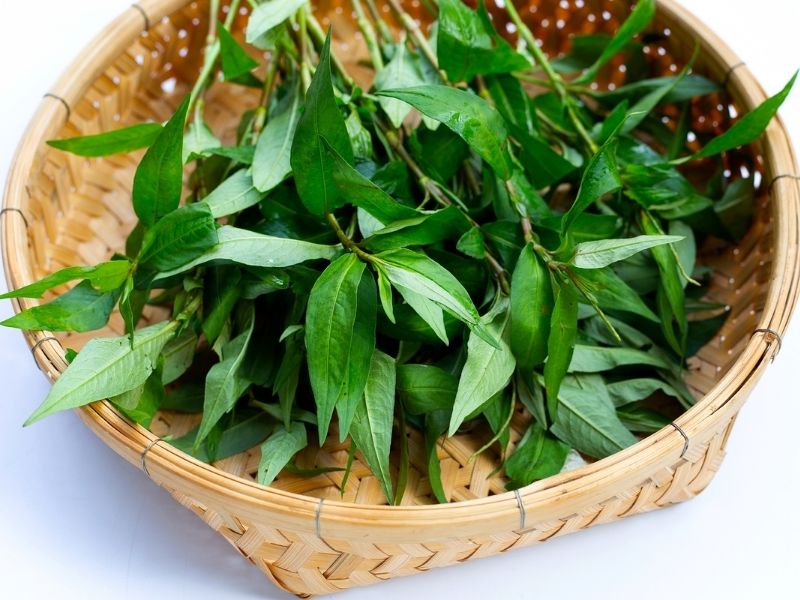 Rau răm là thực phẩm tốt cho cơ thể nếu biết cách dùng . (Ảnh: Nguồn Internet)