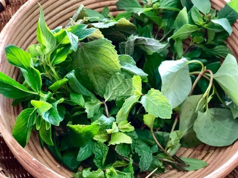 Các mẹ nên tránh cách dùng lạm dụng rau răm để không gây tác dụng phụ. (Ảnh: Nguồn Internet)