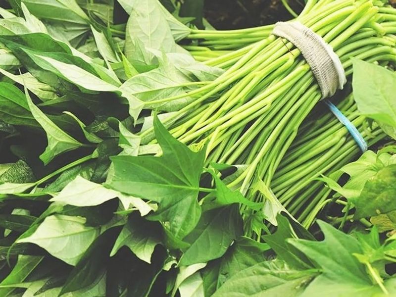 Rau lang được mệnh danh là loại rau cực mát và lợi sữa. (Ảnh: Nguồn Internet)