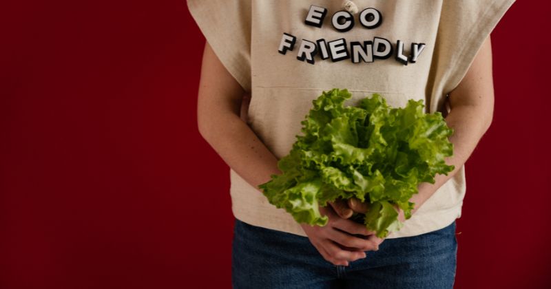 Phụ nữ sau sinh ăn rau xà lách giúp giảm cân ( Ảnh: Sưu tầm Internet)