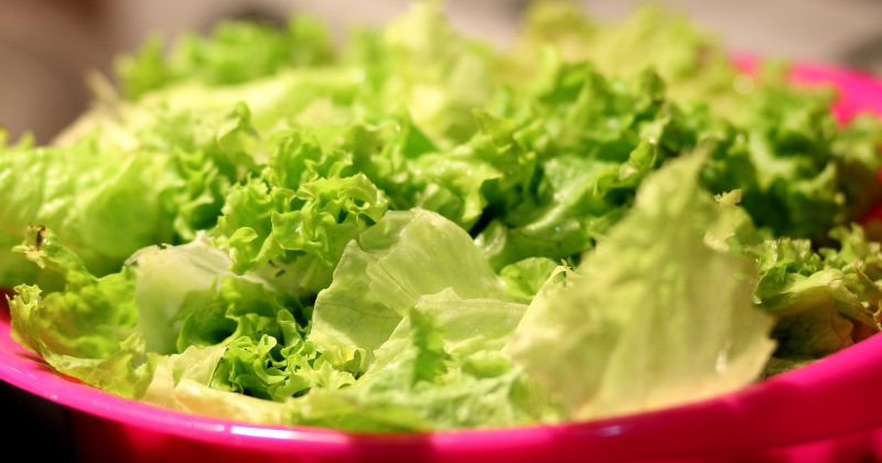 Mẹ bầu sau sinh giảm stress hiệu quả nhờ ăn xà lách ( Ảnh: Sưu tầm Internet)