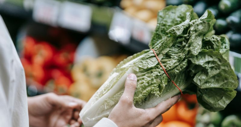 Khi nào thì mẹ bầu sinh có thể ăn được rau xà lách ( Ảnh: Sưu tầm Internet)