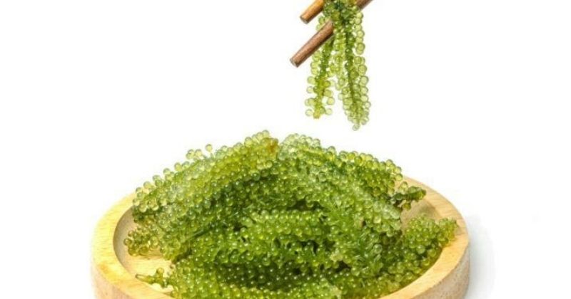 Ăn rong nho có tác dụng bổ máu, bổ huyết cho sản phụ (Ảnh: Sưu tầm Internet)