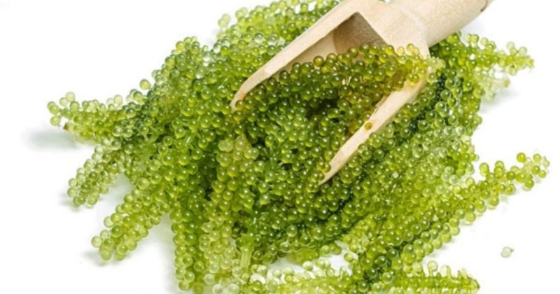 Rong nho giàu chất xơ giúp ngừa táo bón (Ảnh: Sưu tầm Internet)