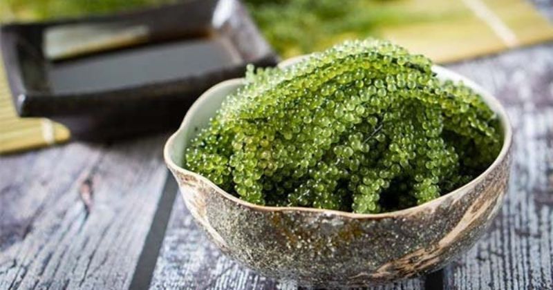 Một số  lưu ý khi ăn rong nho mẹ nên biết (Ảnh: Sưu tầm Internet)