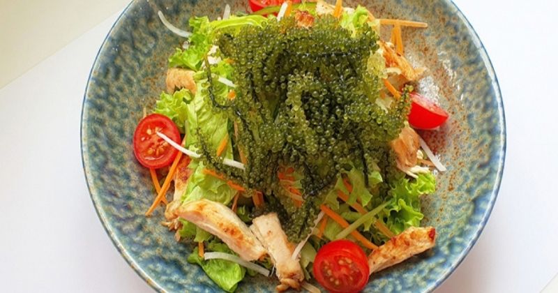 Salad rong nho ức gà sốt cam ngon miệng (Ảnh: Sưu tầm Internet)
