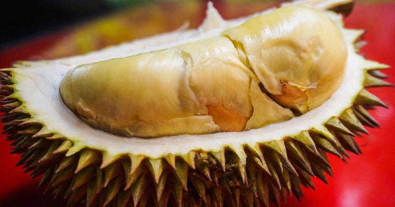 Sau sinh mổ nên HẠN CHẾ ăn sầu riêng (Ảnh: Sưu tầm Internet)