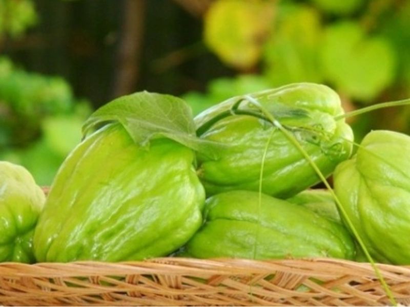 Su su là loại quả mang đến nhiều lợi ích sức khỏe. (Ảnh:Georgemink.com)