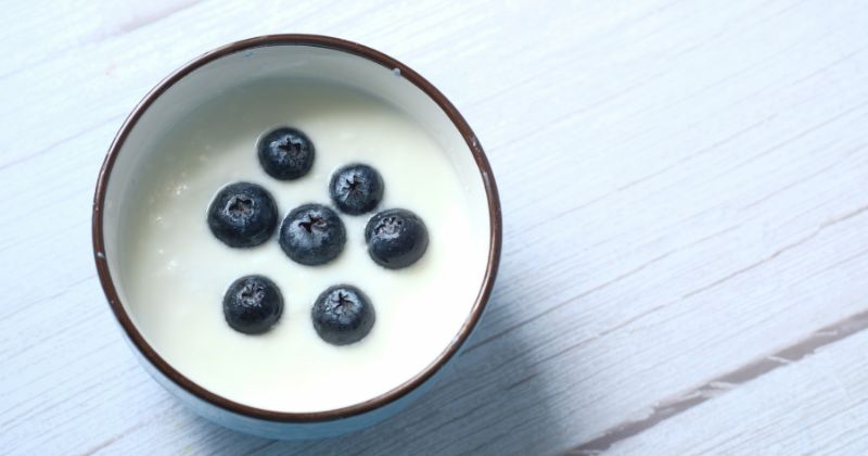 Sữa chua chứa nhiều lợi khuẩn tốt cho sức khỏe. (Ảnh: Sưu tầm Internet)