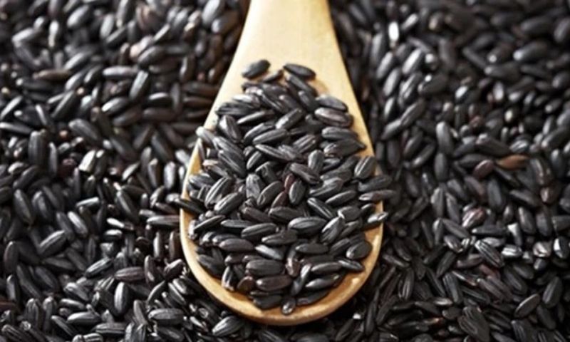 Gạo nếp cẩm giàu các vitamin và khoáng chất cần thiết cho cơ thể. (Nguồn: Internet)