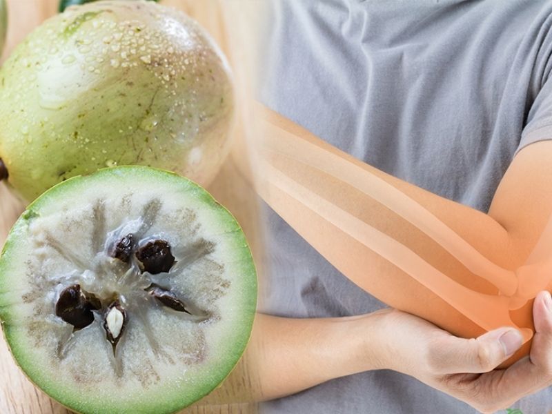 Quả vú sữa chứa nguồn cung cấp canxi dồi dào, bổ sung cho cơ thể mỗi ngày. (Ảnh: Nguồn Internet)