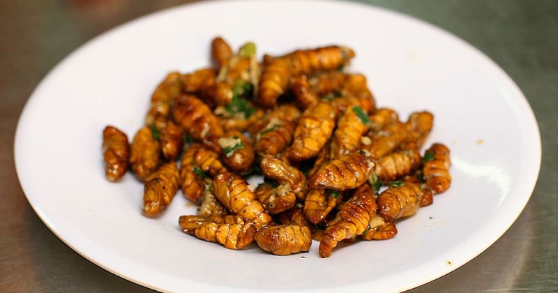 Phụ sản ăn nhiều nhộng tằm có thể gây băng huyết (Ảnh: Sưu tầm Internet)