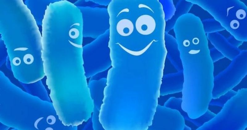 Rất có lợi cho hệ tiêu hóa mẹ sau sinh (Ảnh: Sưu tầm Internet)