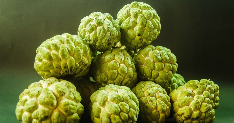 Na cung cấp cho cơ thể mẹ nhiều vitamin và khoáng chất (Ảnh: Sưu tầm Internet)