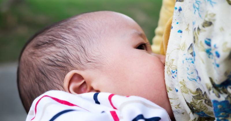 Uống sữa tươi kích thích sữa mẹ nhiều hơn (Ảnh: Sưu tầm Internet)