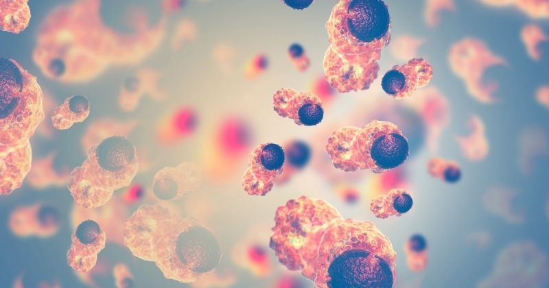 Uống nước chè xanh có tác dụng ngừa bệnh ung thư hiệu quả (Ảnh: Sưu tầm Internet)