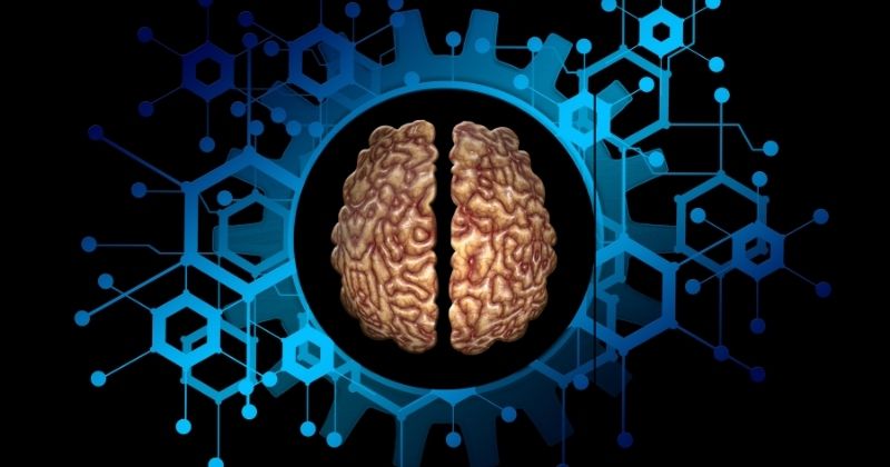 Uống sữa giúp phát triển hệ thần kinh, não bộ (Ảnh: Sưu tầm Internet)