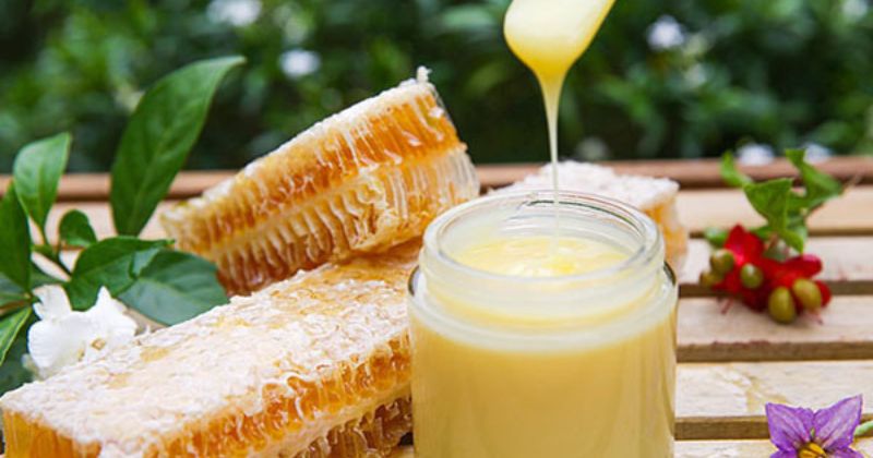 Cá thành phần dinh dưỡng bên trong sữa ong chúa (Ảnh: Sưu tầm Internet)