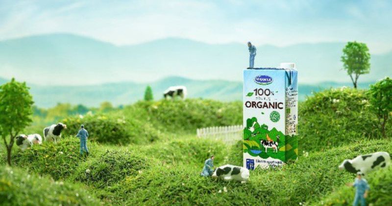 Sữa tươi Vinamilk - thương hiệu uy tín số 1 Việt Nam (Ảnh: Sưu tầm Internet)