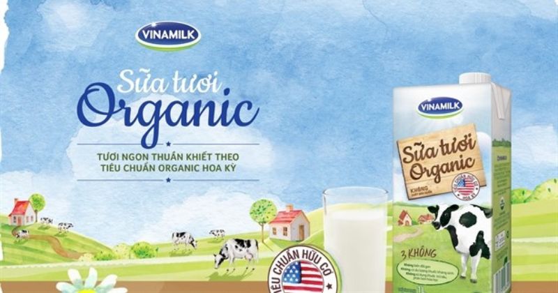 Mỗi ngày mẹ nên uống từ 300 đến 500 ml sữa tươi (Ảnh: Sưu tầm Internet)