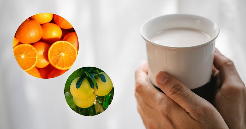Không nên uống sữa trước và sau khi ăn cam (Ảnh: Sưu tầm Internet)