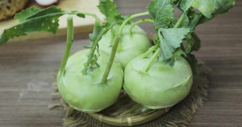 Hàm lượng vitamin C trong su hào có khả năng làm liền vết mổ tốt (Ảnh: Sưu tầm Internet)