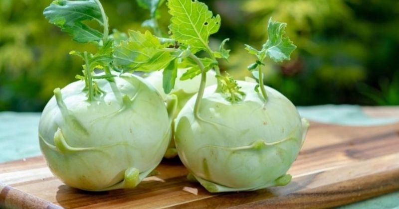 Su hào có hàm lượng calo thấp, ít chất béo giúp mẹ giảm cân hiệu quả (Ảnh: Sưu tầm Internet)