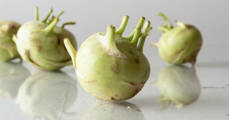 Su hào có tác dụng lọc máu và thận tốt nhờ vitamin C, B6 và potassium (Ảnh: Sưu tầm Internet)