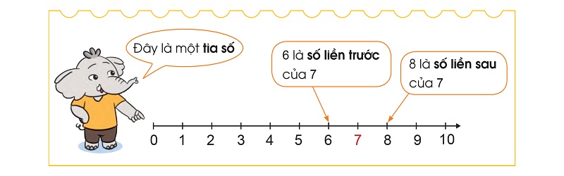 Tia số, số liền trước, số liền sau là gì? (Ảnh: Sách Cánh Diều)