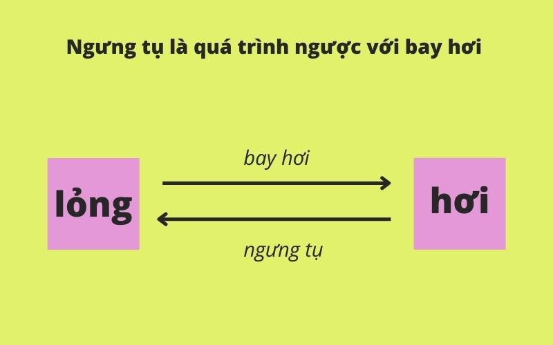 So sánh giữa bay hơi và ngưng tụ. (Ảnh: Canva.com)