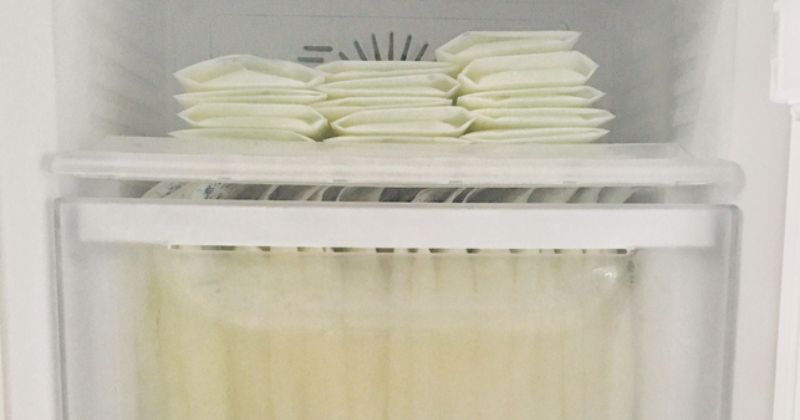 Một số lưu ý khi rã đông và hâm sữa từ ngăn đá. (Ảnh: Sưu tầm Internet)