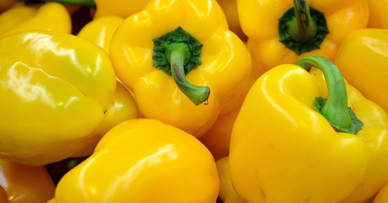 Vitamin D giúp cơ thể hấp thụ Canxi tốt hơn. (Ảnh: Sưu tầm Internet)