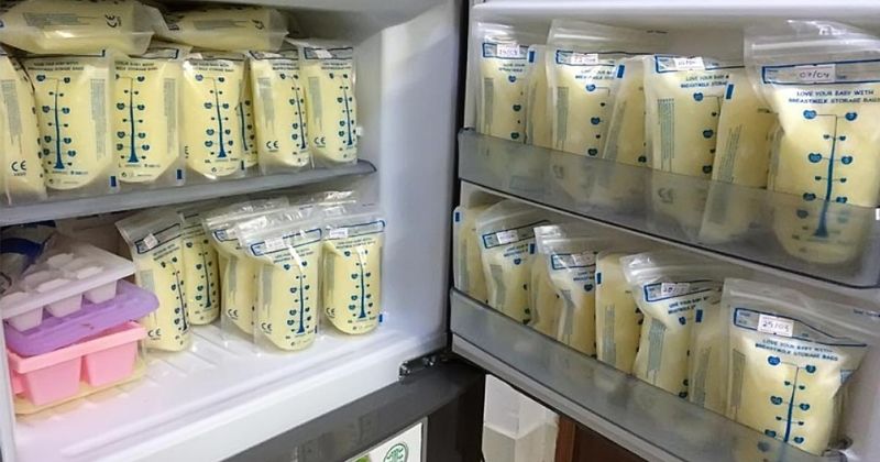 Trữ đông sữa ở ngăn cánh tủ lạnh khiến sữa dễ bị hỏng. (Ảnh: Sưu tầm Internet)