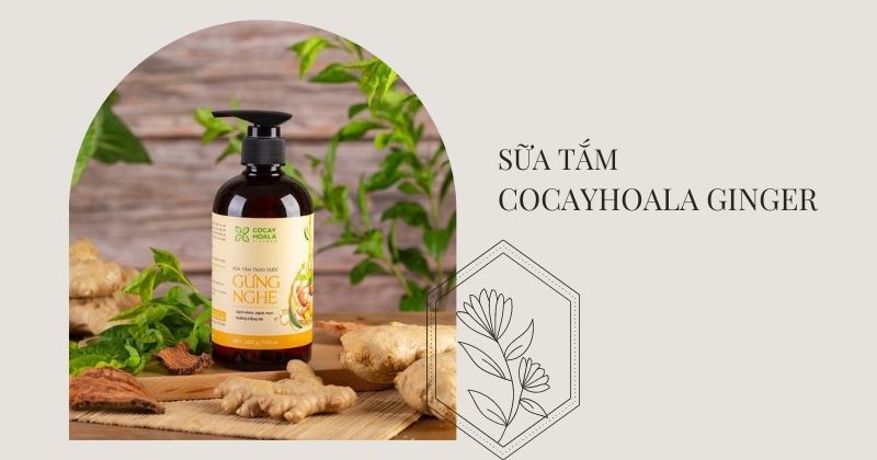 Sữa tắm cho mẹ sau sinh COCAYHOALA tinh dầu gừng (Ảnh: Sưu tầm Internet)