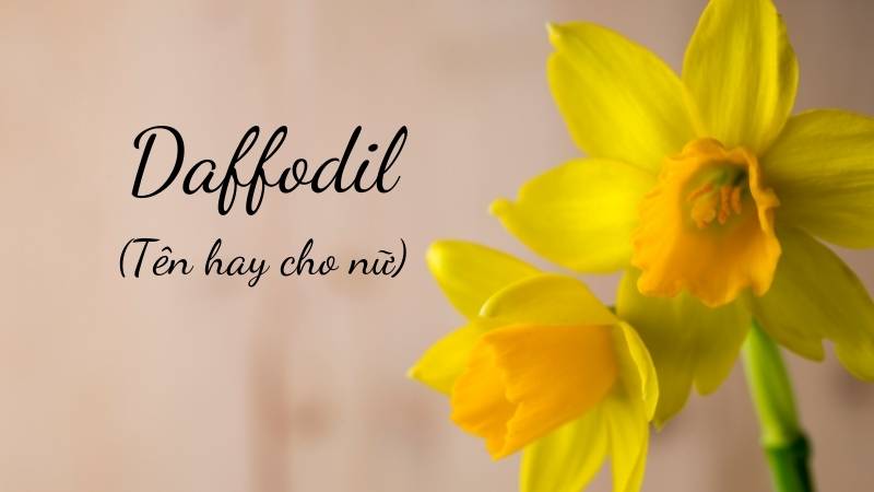 Tên hay tiếng Anh cho nữ bắt đầu với chữ d. (Ảnh: Canva)