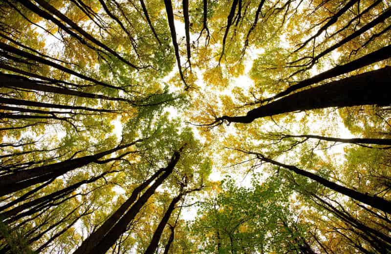 Những tên mang ý nghĩa hòa hợp với thiên nhiên. (Ảnh: Sưu tầm Internet)