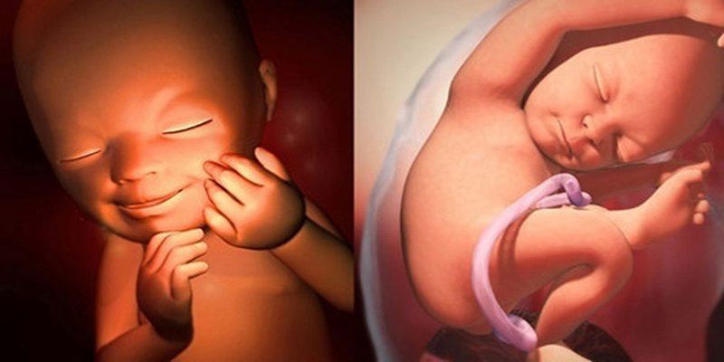 Thai giáo có tác dụng gì? (Ảnh: Sưu tầm Internet)