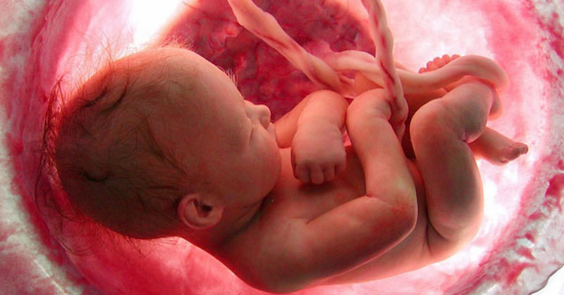 Thai giáo tháng thứ 9 rất quan trọng cho thai nhi. (Ảnh: Sưu tầm Internet)